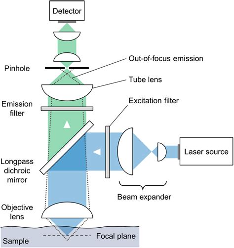 quantitative confocal microscope chart